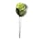 12 Pack: Green Hydrangea Stem by Ashland®